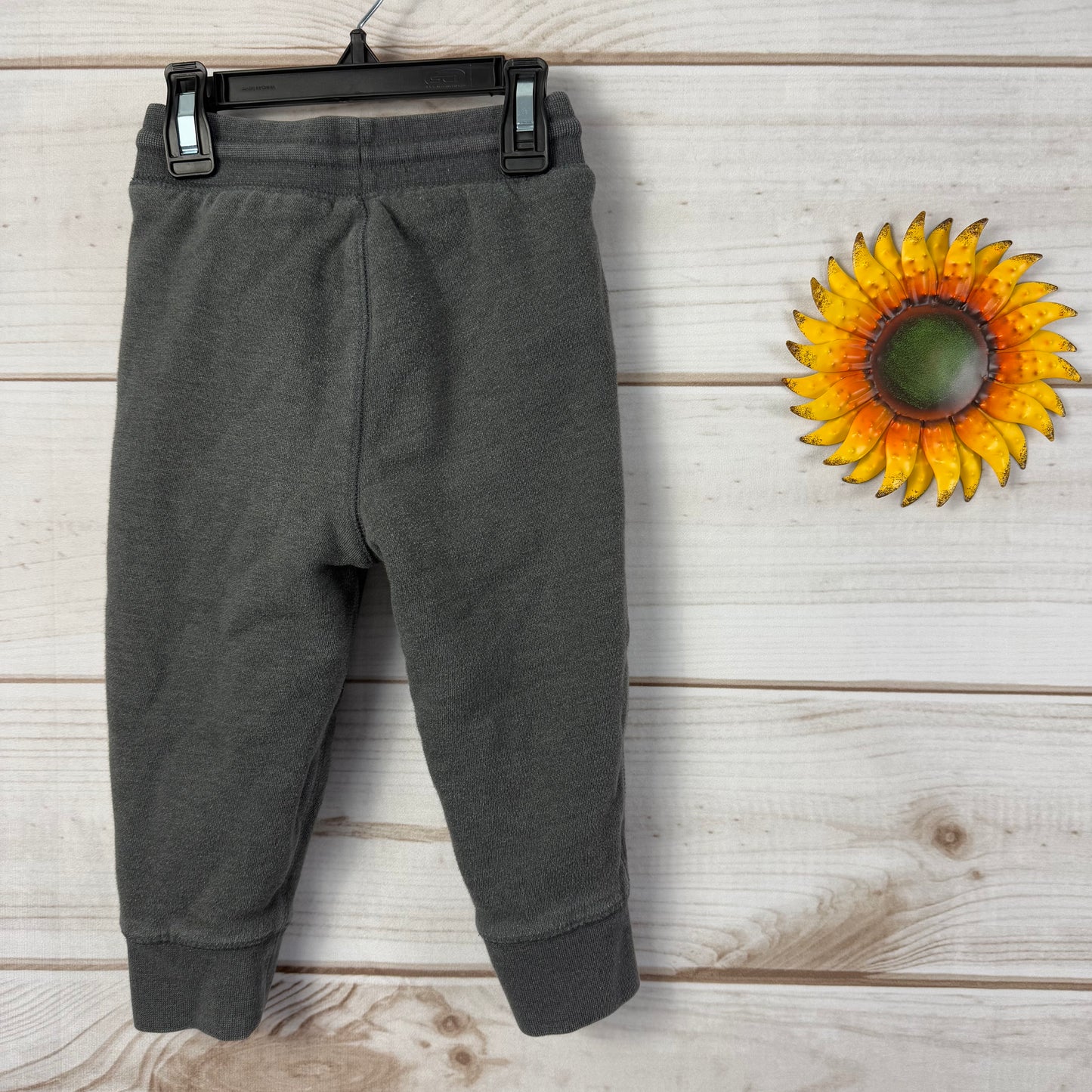 baby gap sherpa lined joggers 2T