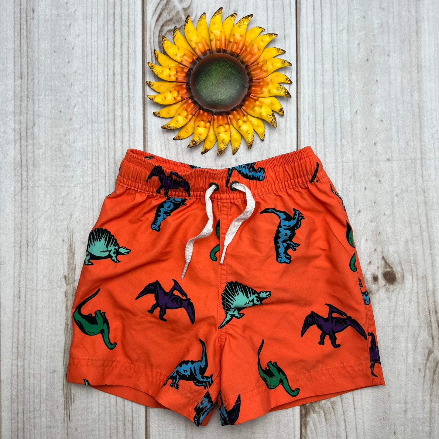 hanna andersson swim trunks 2T