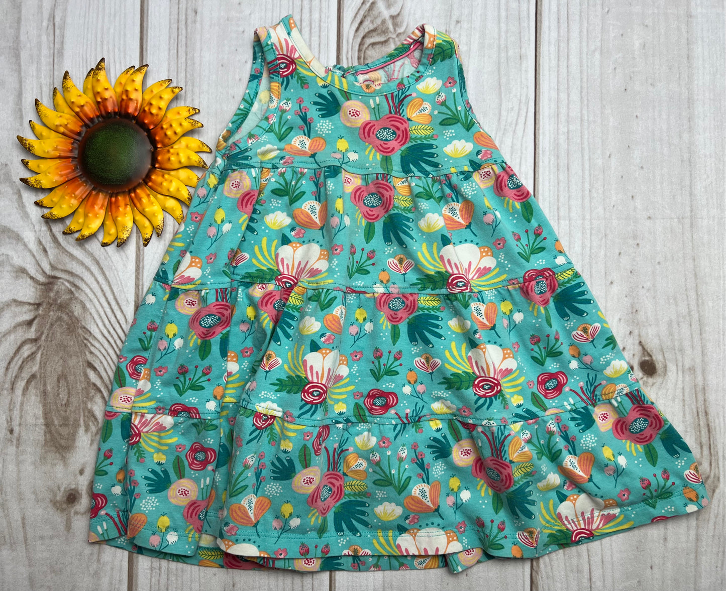 ruffle butts dress 18-24M