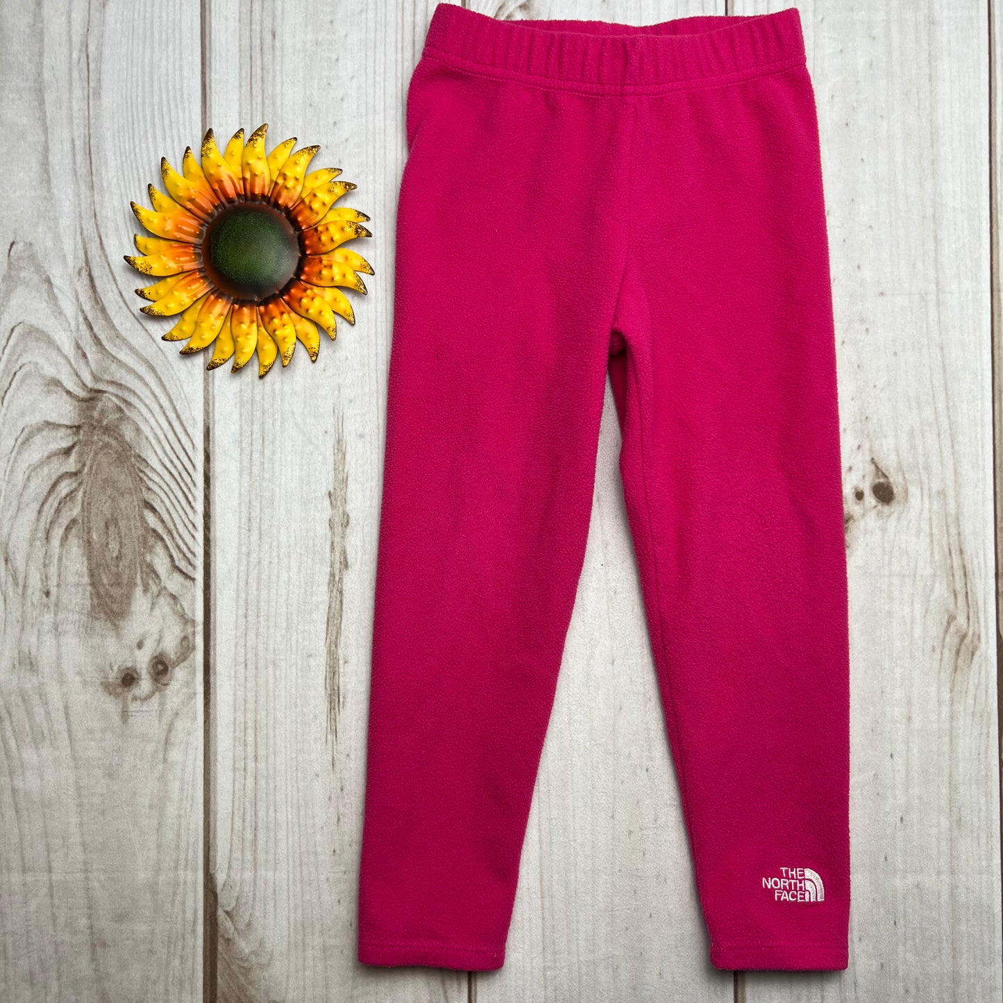 the north face kids glacier fleece pants 4T