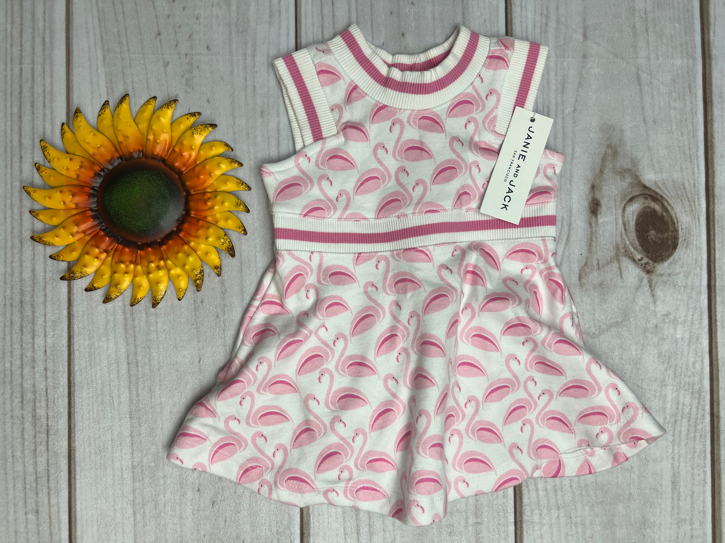 janie and jack flamingo dress 3-6M