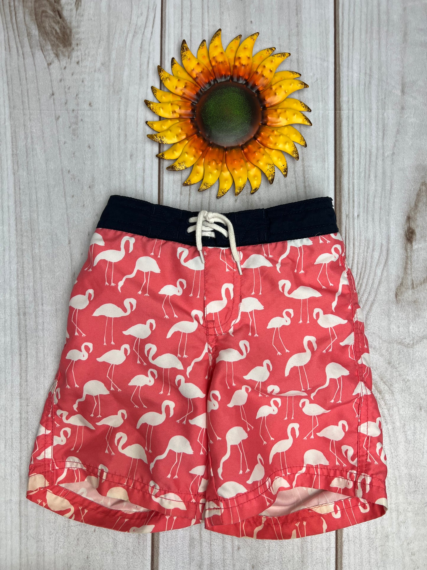 janie and jack swim trunks 2T