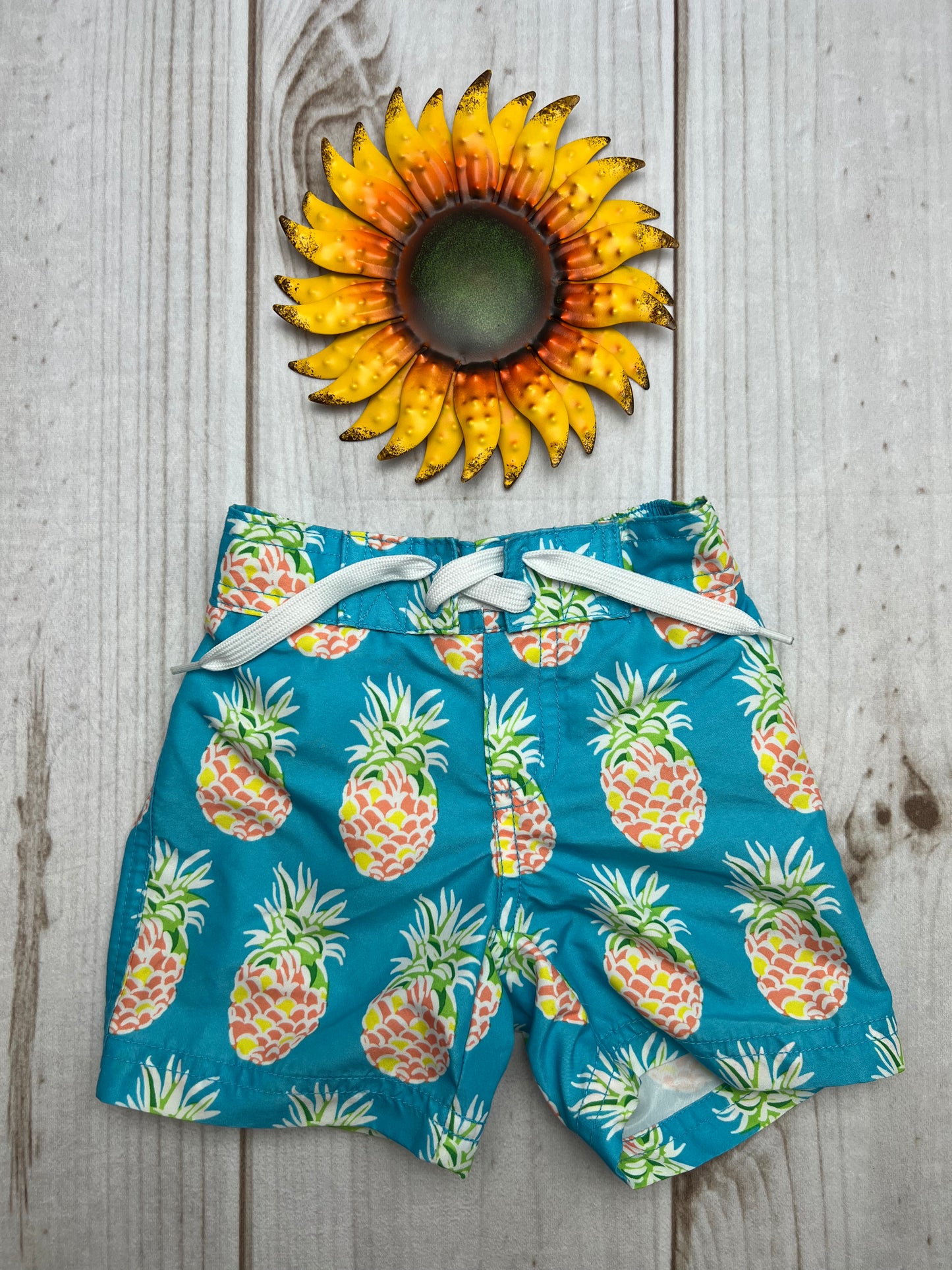 janie and jack swim trunks 2T